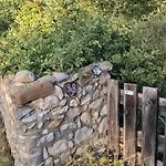 Maison Provencale Avec Piscine Estoublon