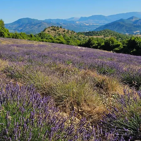 Maison Provençale Avec Piscine Estoublon