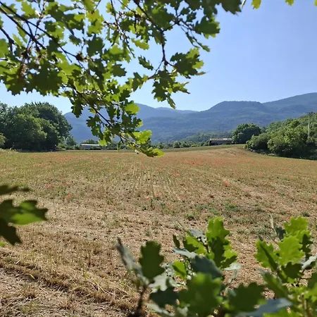 Maison Provençale Avec Piscine *