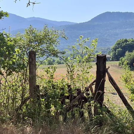 Maison Provencale Avec Piscine Estoublon
