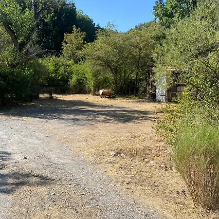 Maison Provençale Avec Piscine
