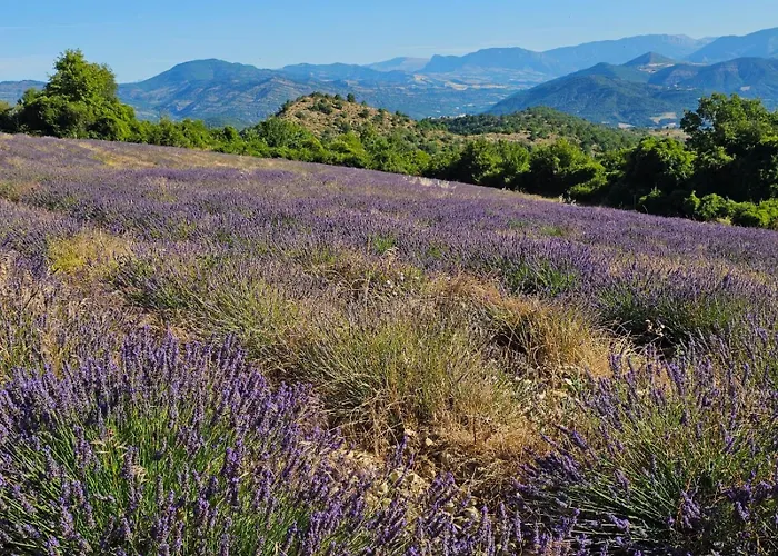 Maison Provencale Avec Piscine Estoublon