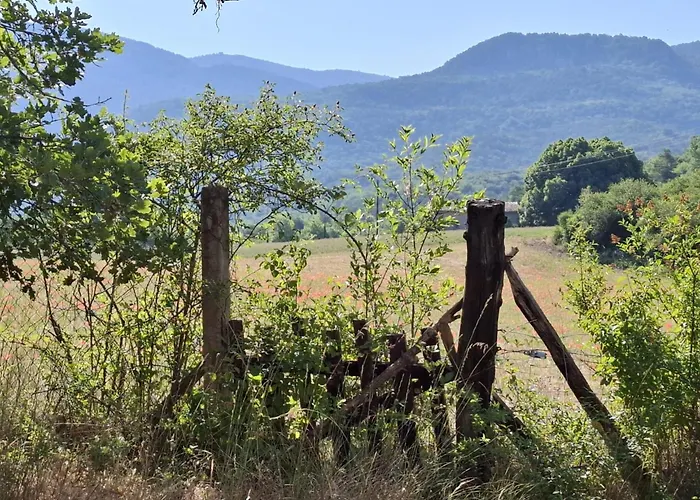Maison Provencale Avec Piscine Estoublon