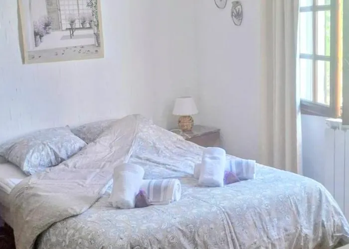 Maison Provencale Avec Piscine