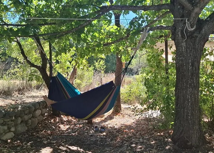 Maison Provencale Avec Piscine * Estoublon
